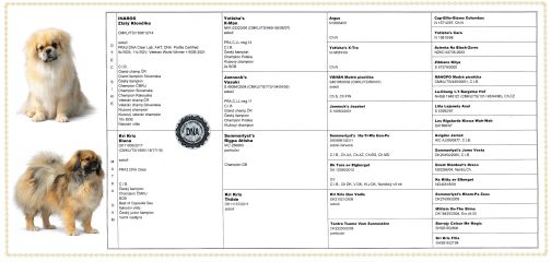 rodokmen hanny small